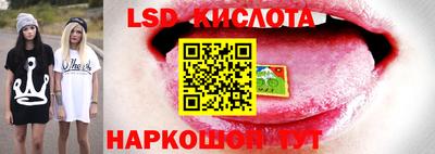 гидра Гатчина