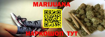 гидра Гатчина
