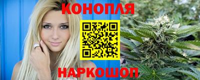 гидра Гатчина