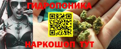 ПСИЛОЦИБИНОВЫЕ ГРИБЫ Абинск