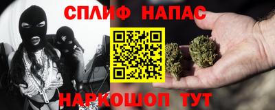 гидра Гатчина