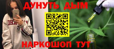 гидра Гатчина
