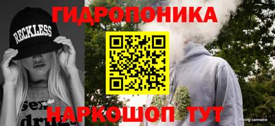гидра Гатчина