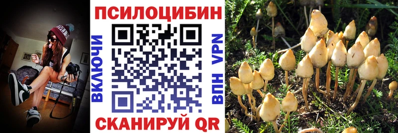 Галлюциногенные грибы Cubensis  кракен как зайти  Апатиты 