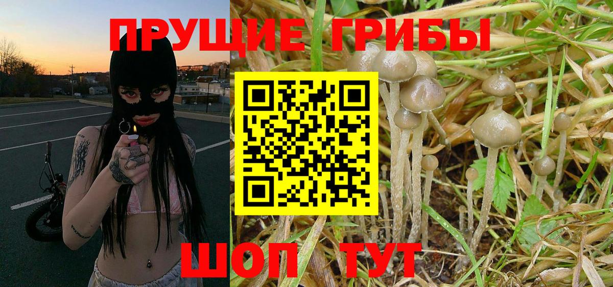 Галлюциногенные грибы GOLDEN TEACHER  Апатиты 