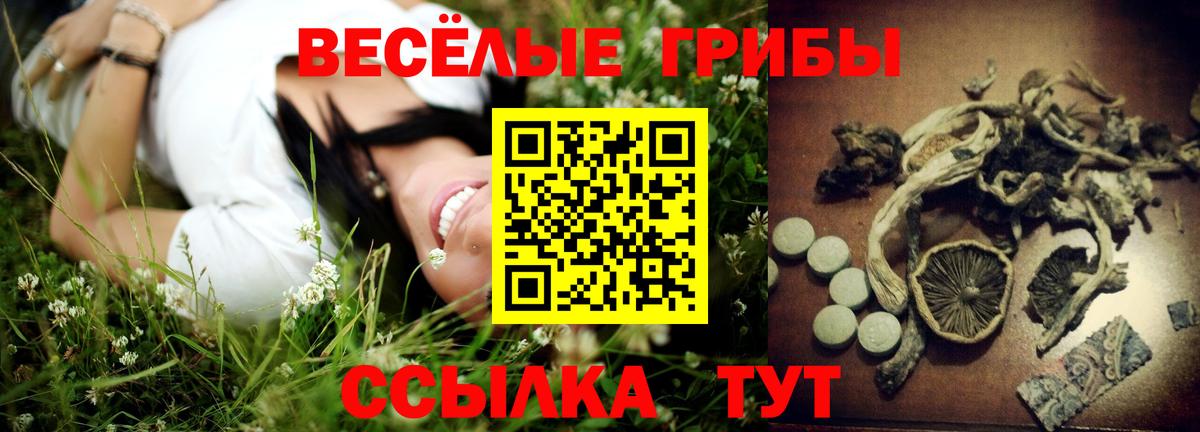 Галлюциногенные грибы Psilocybe  Вход с VPN  купить наркоту  Апатиты 