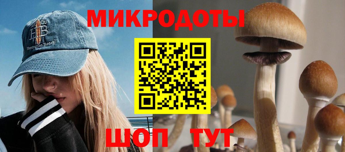 Галлюциногенные грибы мухоморы  Вход с VPN  Апатиты  Псилоцибиновые грибы ЛСД 
