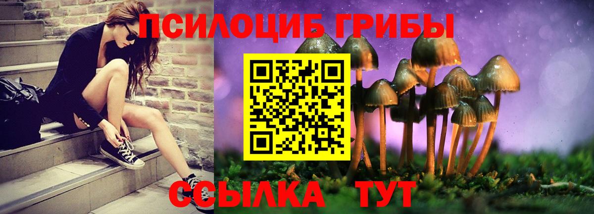 Псилоцибиновые грибы Cubensis Апатиты