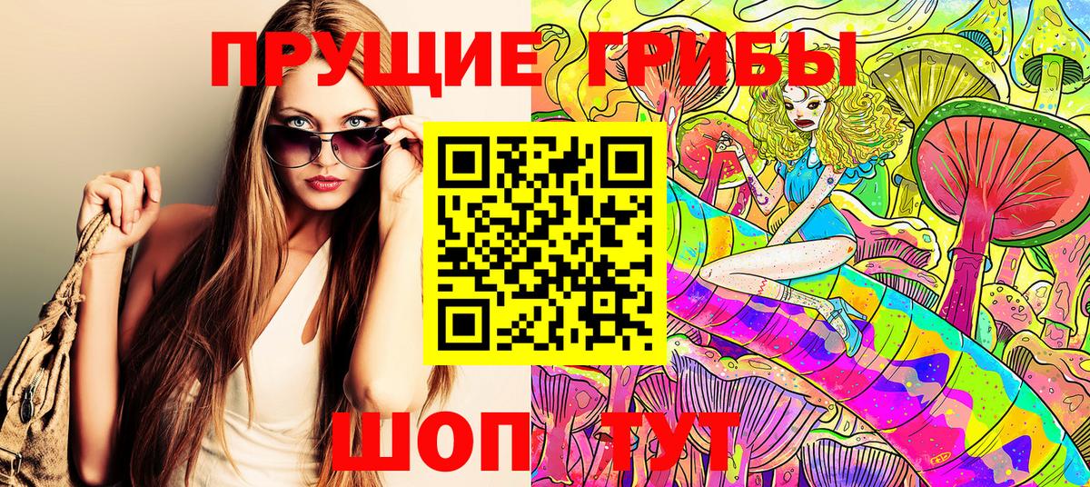 Псилоцибиновые грибы GOLDEN TEACHER Апатиты